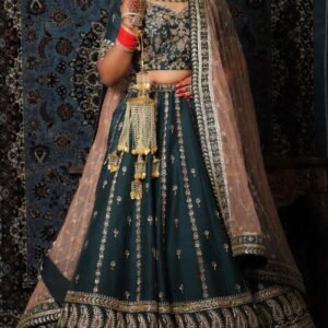 Bridal Designer Saree